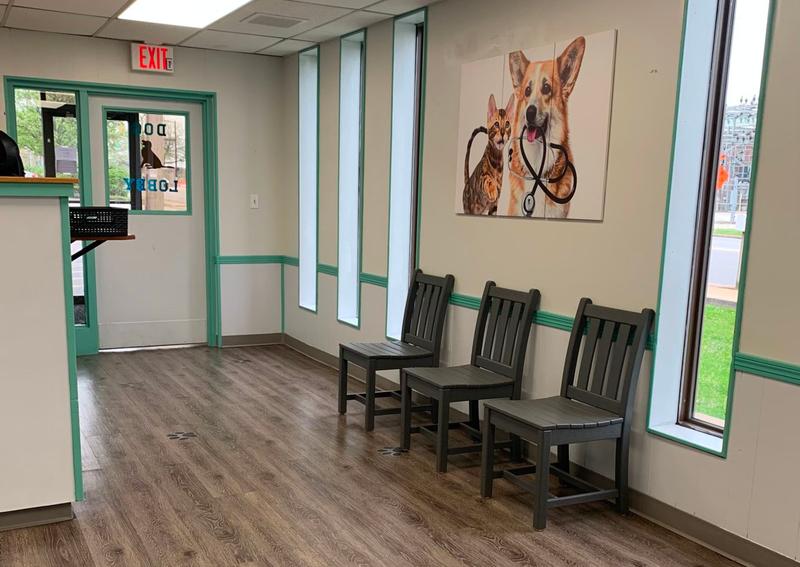 Sigler Animal Hospital Akron Veterinary Hospital